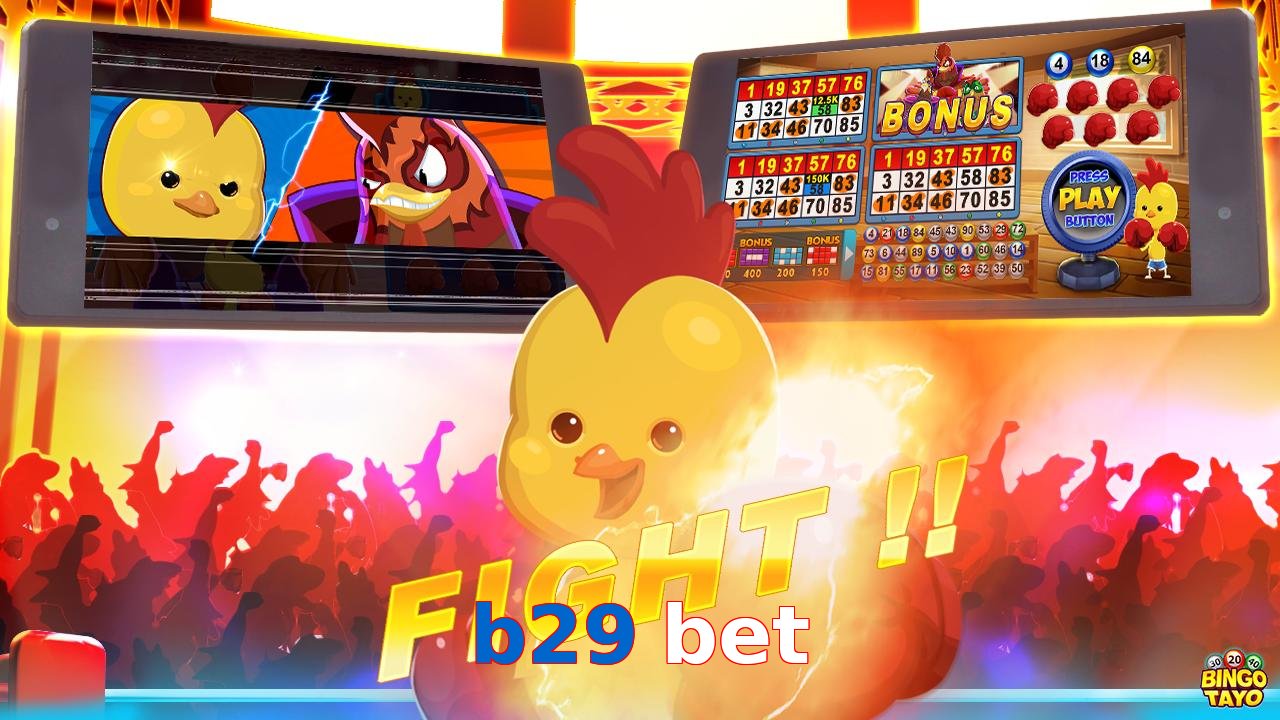 b29 bet
