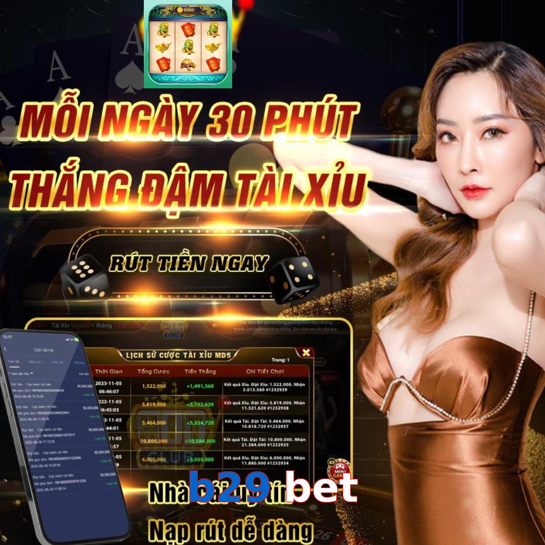 b29 bet