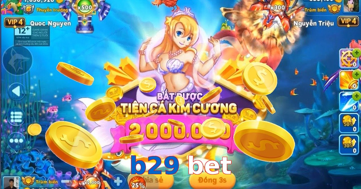 b29 bet