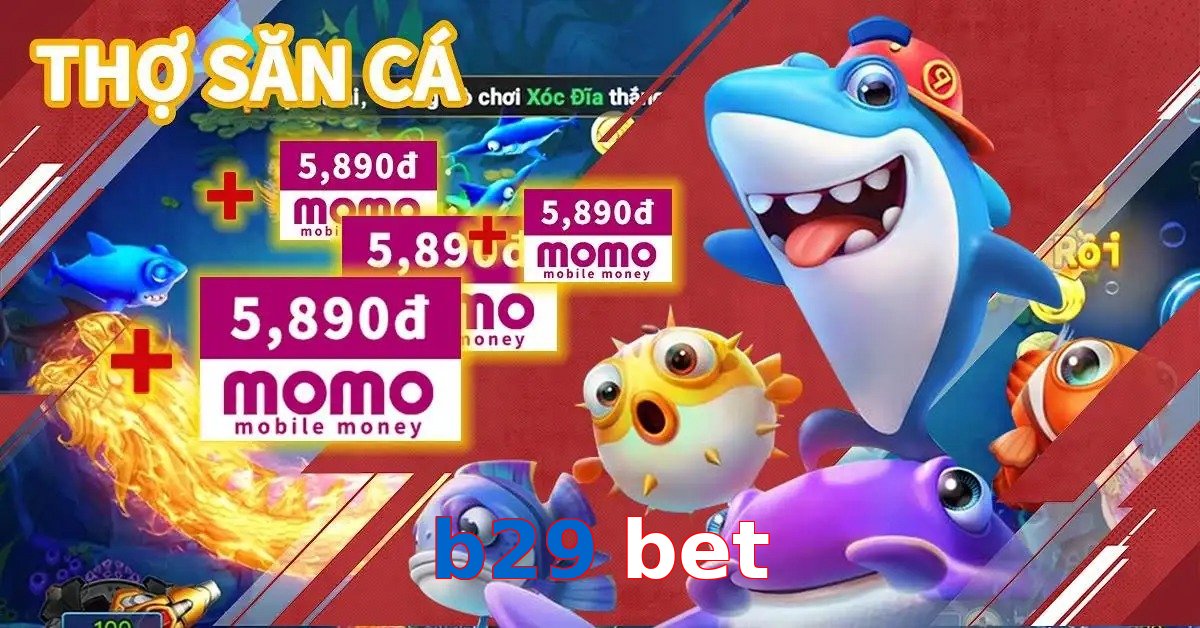 b29 bet