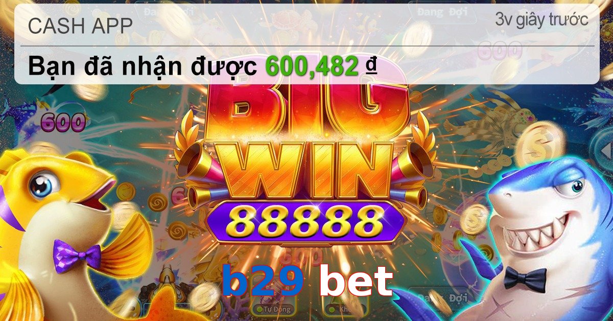 b29 bet